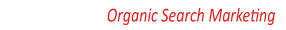 Organic Search Marketing