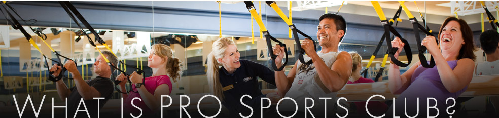 What Is Pro Sports Club?